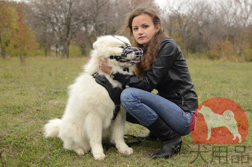 大型犬用口輪