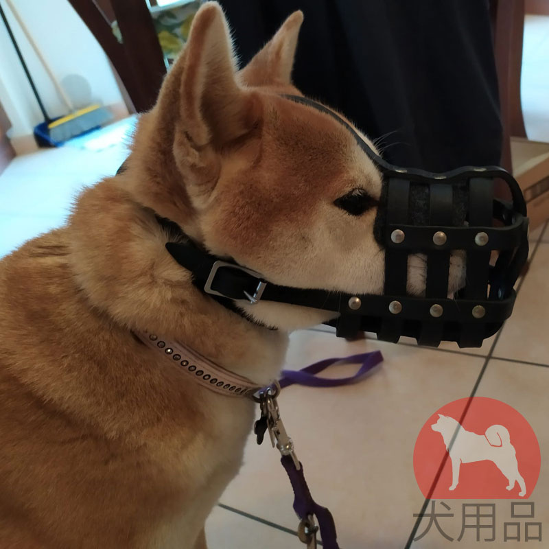 ファンタジーワールド 犬用口輪 Dnm 08 No 8 ナイロンマズル 毎日がバーゲンセール ナイロンマズル