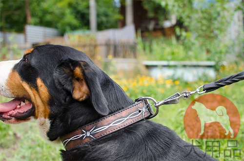 大型犬　首輪　革