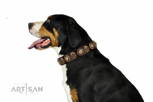 犬　首輪　デザイン