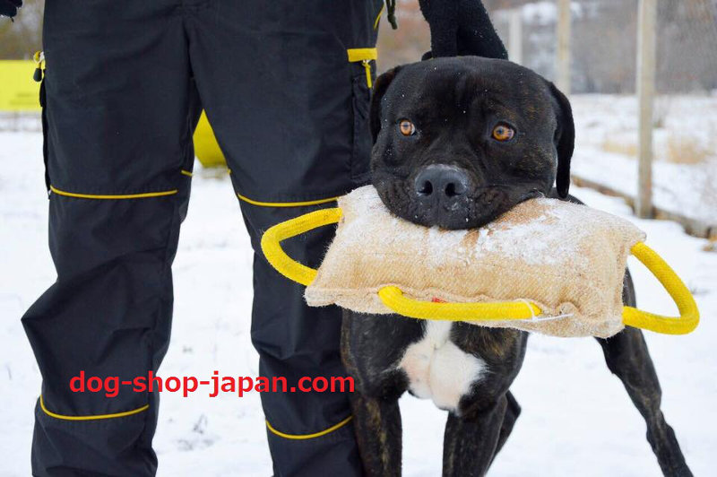 犬のおもちゃ│三つのハンドル付噛むクッション ¥4583