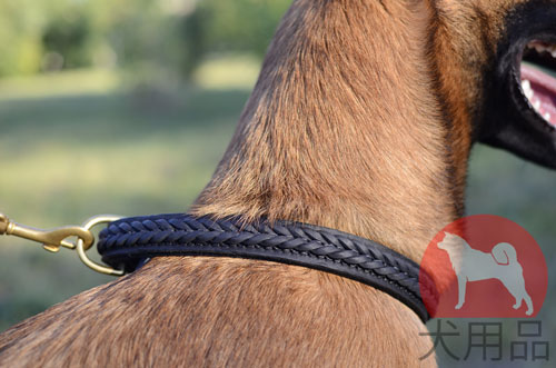 大型犬　首輪　輸入