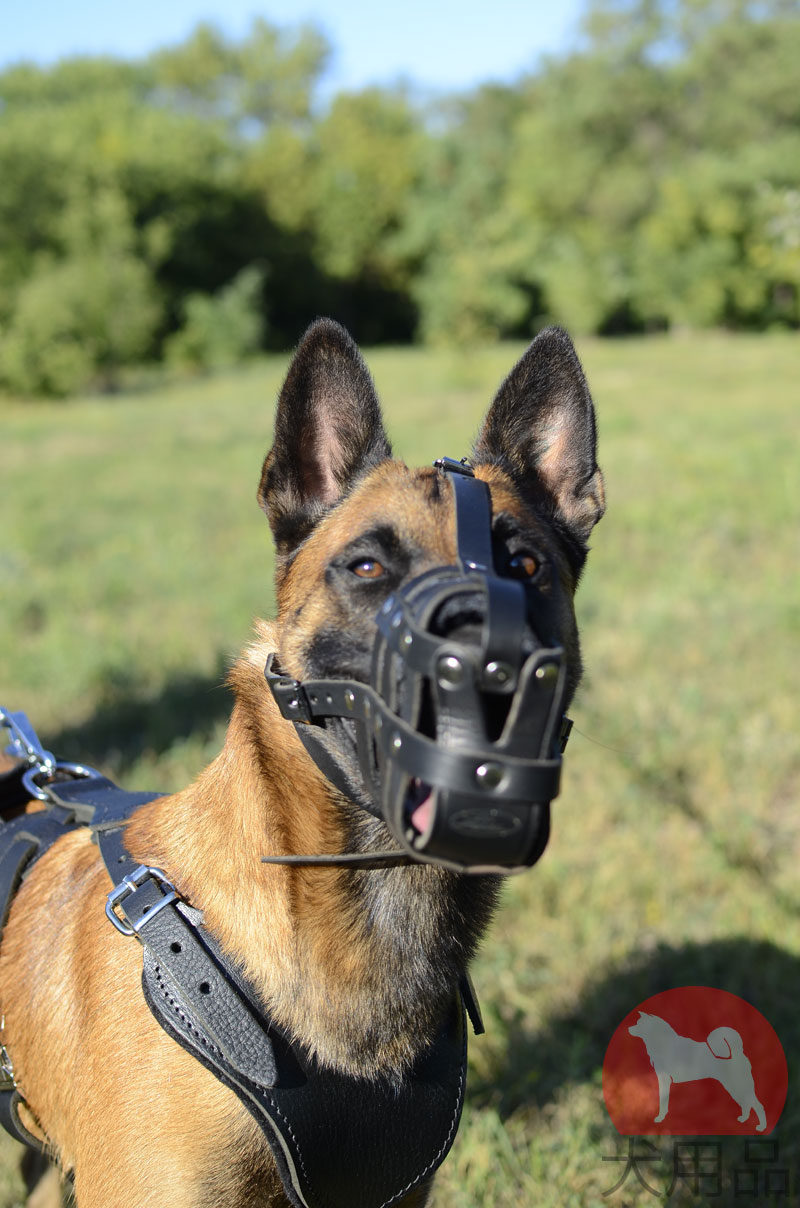 ベルジアンマリノア向けの本革口輪 M41 1113 Leather Muzzle 犬用品 犬グッズ 犬訓練用具 犬用品通販 犬用品 犬グッズ 犬訓練用具 犬用品通販