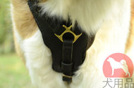 大型犬用ハーネス　ハンドクラフト