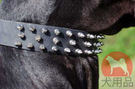 超大型犬 首輪(3連スパイク付) 超大型犬 首輪(3連スパイク付)