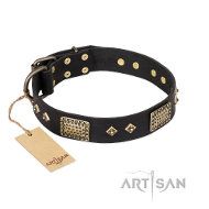 FDT Artisan Jewel Passion 犬用デコレーション首輪 FDT Artisan Jewel Passion 犬用デコレーション首輪