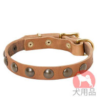 丸型スタッズ付犬 首輪(19mm、黄銅) 丸型スタッズ付犬 首輪(19mm、黄銅)