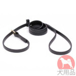 ビオタン　首輪　リード　大型犬のしつけや散歩にピッタリ！