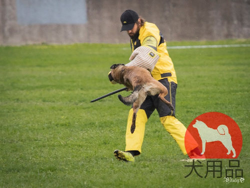 犬　ドッグトレーナー　スーツ