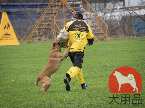 大型犬用スーツ　軽い　