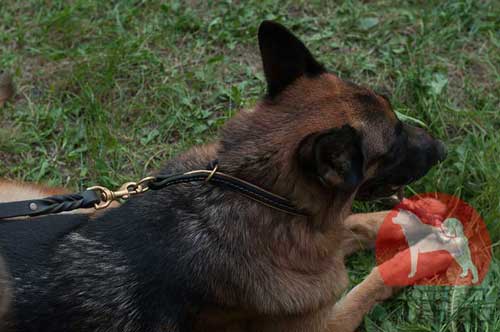 犬　チョーク　首輪