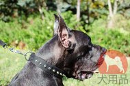 超大型犬 首輪(ピラミッド付き) 超大型犬 首輪(ピラミッド付き)