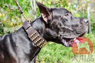 超大型犬 首輪 (幅広首輪) 超大型犬 首輪 (幅広首輪)