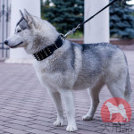 犬 幅広い首輪 上質な本革製 かっこいいスパイク付き 犬 幅広い首輪 上質な本革製 かっこいいスパイク付き