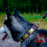 レザー 首輪 大型犬用 古風のプレート付き 40mm レザー 首輪 大型犬用 古風のプレート付き 40mm