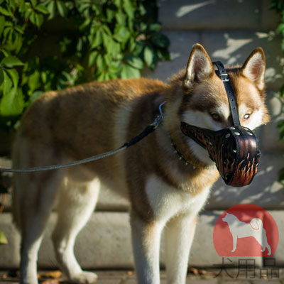 犬　口輪　おしゃれ