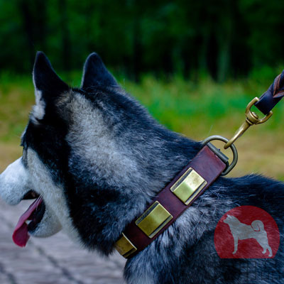 レザー　首輪　大型犬