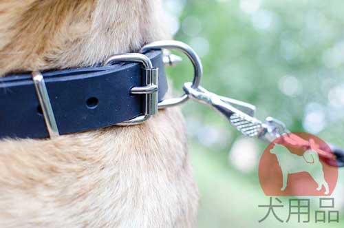 大型犬 首輪 おしゃれ