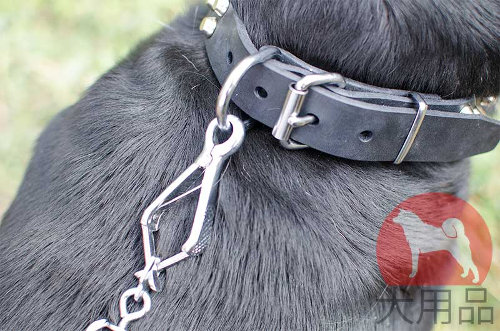 大型犬　散歩　首輪