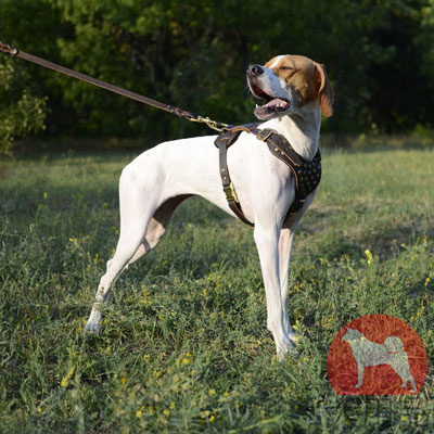 大型犬　ハーネス　本革