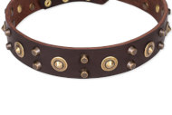 FDT ARTISANの犬用おしゃれな首輪　革製　スタッズの装飾付き