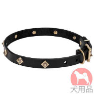 犬用革首輪(ドットスタッズ) 犬用革首輪(ドットスタッズ)