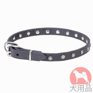 星型スタッズ付き小型犬 首輪(20mm) 星型スタッズ付き小型犬 首輪(20mm)