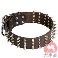 幅広首輪(50mm、スパイク)