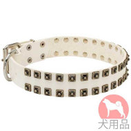 ドットスタッズ付き革 首輪(40mm,白) ドットスタッズ付き革 首輪(40mm,白)