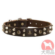 ミックススタッズ付き犬　首輪(30mm)