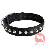 ピラミッドスタッズ付ナイロン首輪