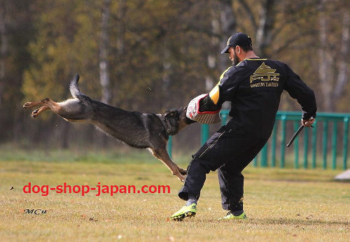 犬　訓練　服