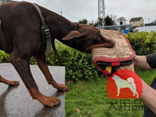 超大型犬　ハーネス　革