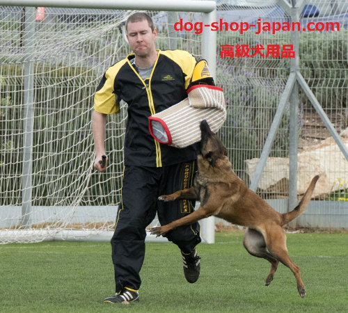 犬　ドッグトレーナー　スーツ