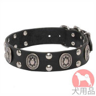 コンチョ付き犬用首輪(丸型スタッズ、45mm) コンチョ付き犬用首輪(丸型スタッズ、45mm)