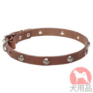 コンチョ付犬用首輪(ニッケル、20mm) コンチョ付犬用首輪(ニッケル、20mm)