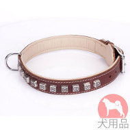 大型犬用首輪　ユニークなデザイン