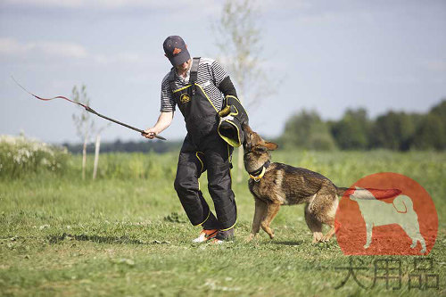 犬訓練用品