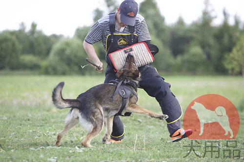 犬訓練士　服