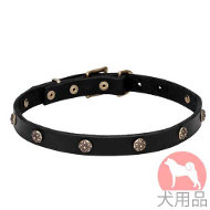 犬 首輪 花柄(黄銅) 犬 首輪 花柄(黄銅)