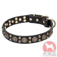 可愛い犬用首輪(黄銅金具) 可愛い犬用首輪(黄銅金具)