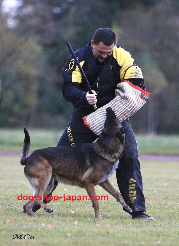 犬 訓練用具 