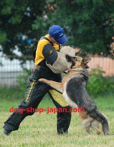 犬訓練　片袖 