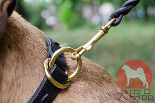 犬　革チョーク　大型犬