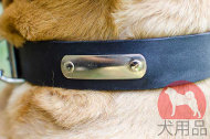 カネコルソ用ネームプレート入り首輪 カネコルソ用ネームプレート入り首輪