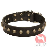 ピラミッド付き革　首輪(黄銅,40mm)