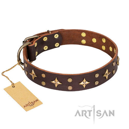FDT Artisan High Fashion スタッズ付犬　首輪