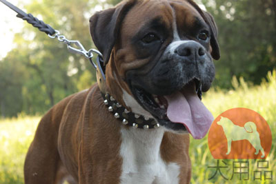 ボクサー　首輪　かっこいい