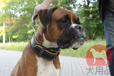 大型犬用ダブルレザーカラー　