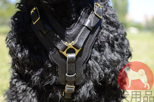 大型犬用本革製ハーネス